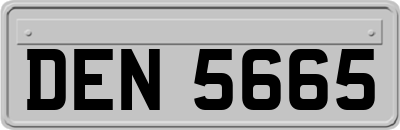 DEN5665