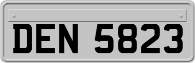 DEN5823