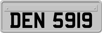 DEN5919