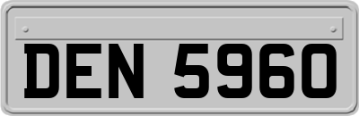 DEN5960