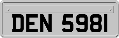 DEN5981