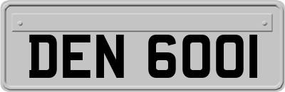DEN6001