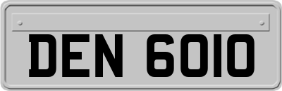 DEN6010