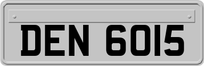 DEN6015