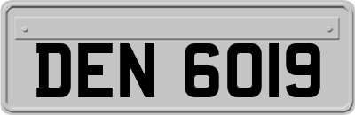 DEN6019