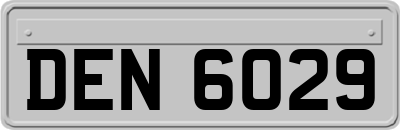 DEN6029