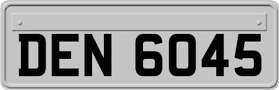 DEN6045