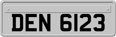 DEN6123