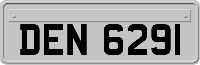 DEN6291