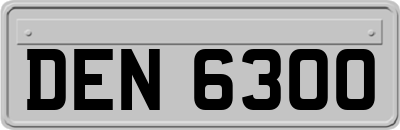 DEN6300