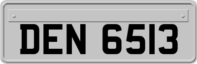 DEN6513