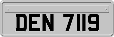 DEN7119