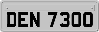 DEN7300