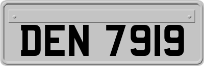 DEN7919