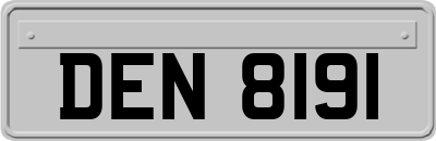 DEN8191