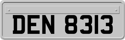DEN8313