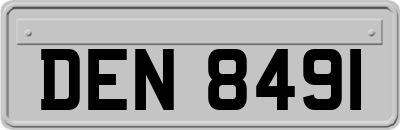 DEN8491