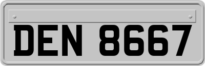 DEN8667