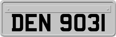 DEN9031