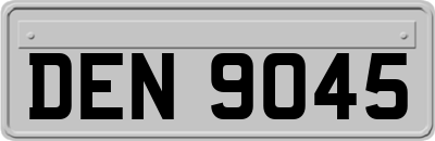 DEN9045