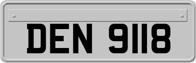 DEN9118