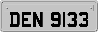 DEN9133