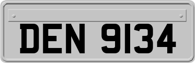 DEN9134