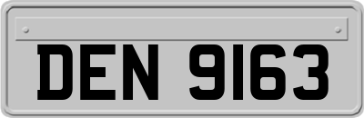 DEN9163