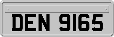 DEN9165