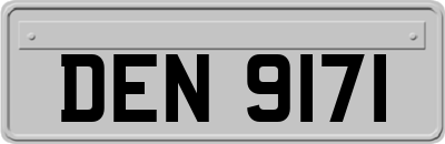 DEN9171