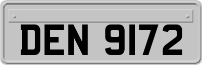 DEN9172