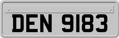 DEN9183