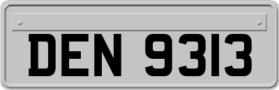 DEN9313
