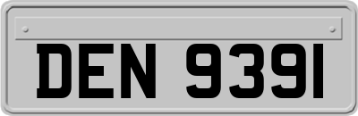 DEN9391