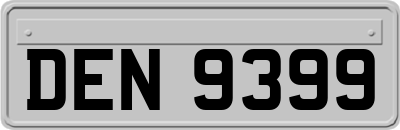 DEN9399