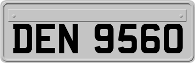 DEN9560