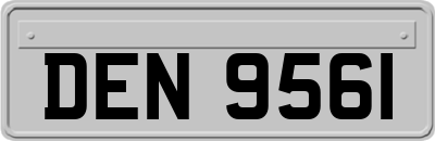 DEN9561