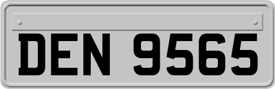 DEN9565