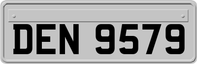 DEN9579