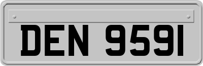 DEN9591