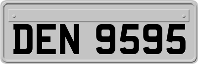 DEN9595