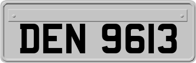 DEN9613