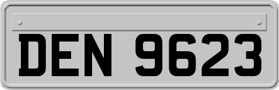 DEN9623