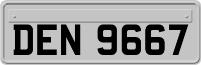 DEN9667