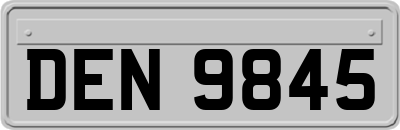 DEN9845