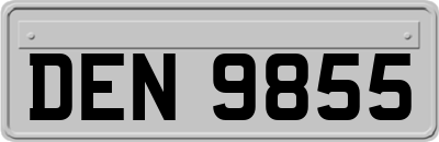 DEN9855