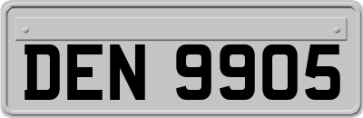 DEN9905