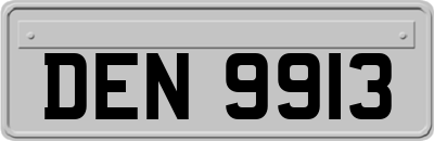DEN9913