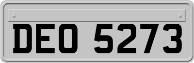 DEO5273