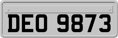 DEO9873